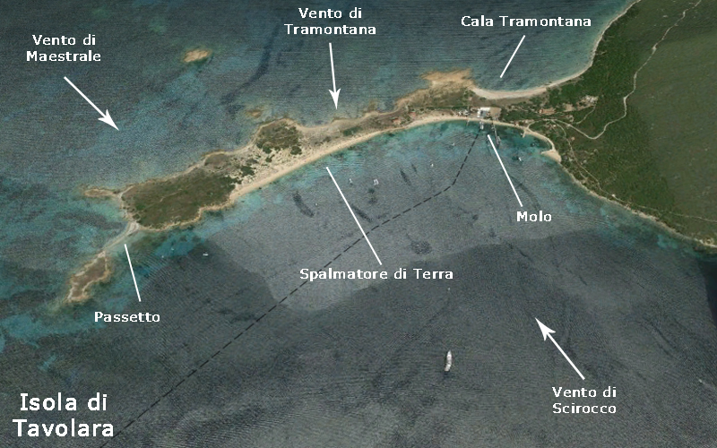 Spiagge di Tavolara